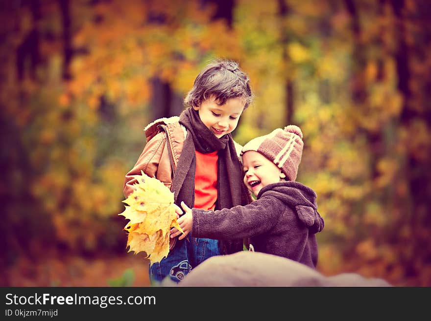 Two Boys Wearing Jacket Holding Yellow Maple Leaves