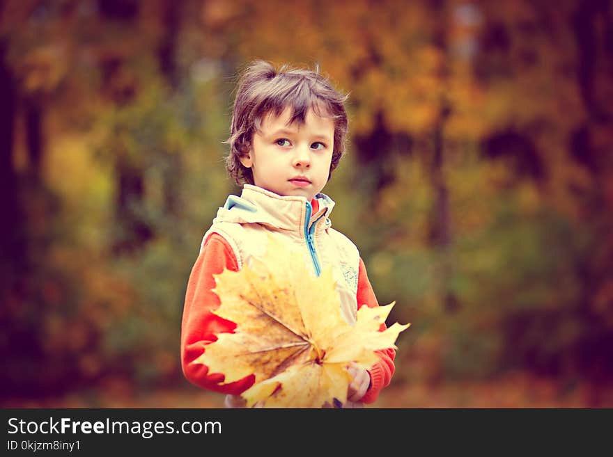 Boy Wearing White and Red Zip Jacket Holding Brown Maple Leaf