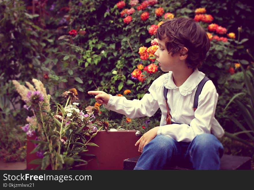 Photo of Boy Sitting and Touch Flowers