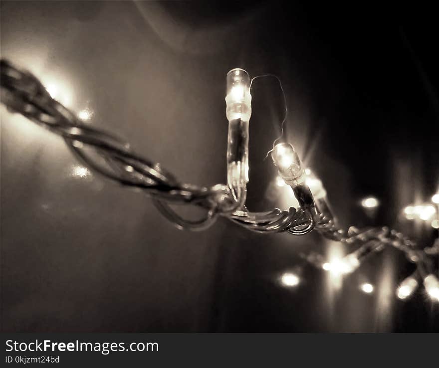 Selective Focus Photography of String Light