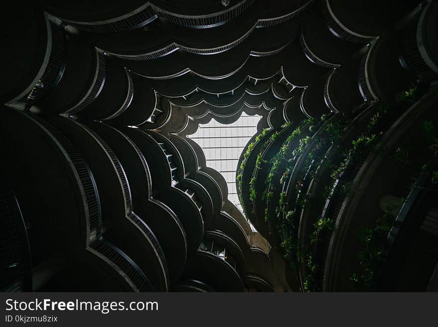 Low Angle Photo of Plants on Rack