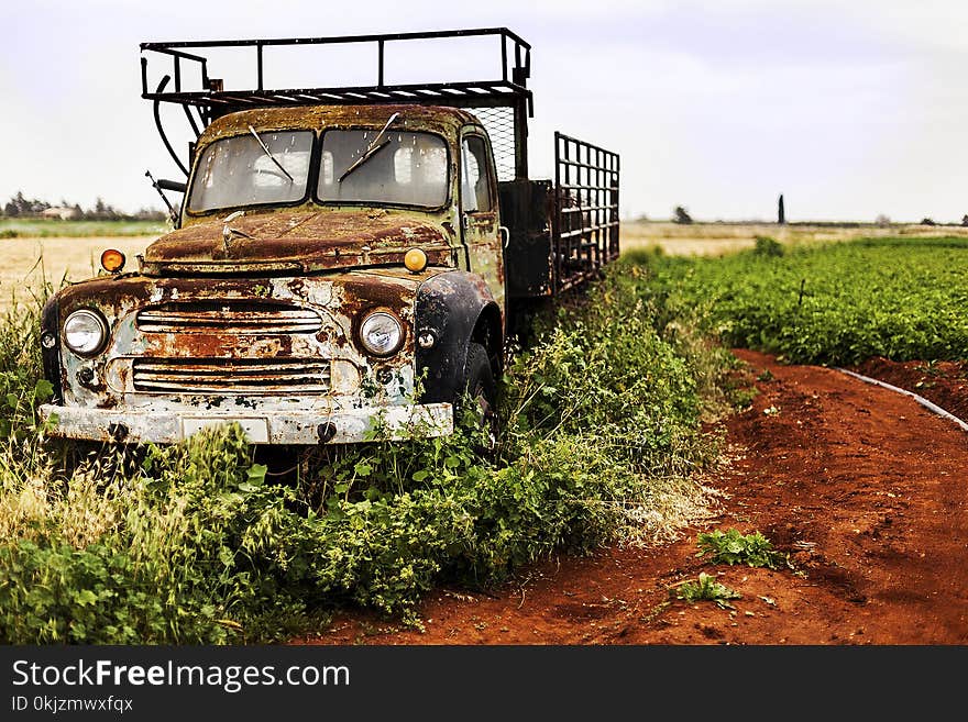 Brown Utility Truck on Grass