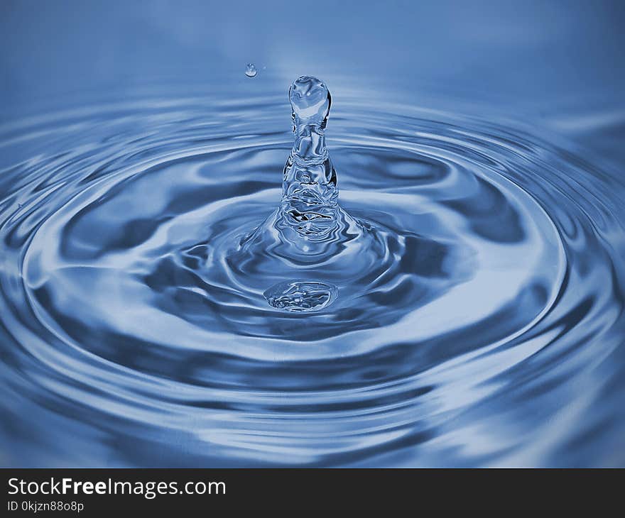 Close-up Photo of Water Drop