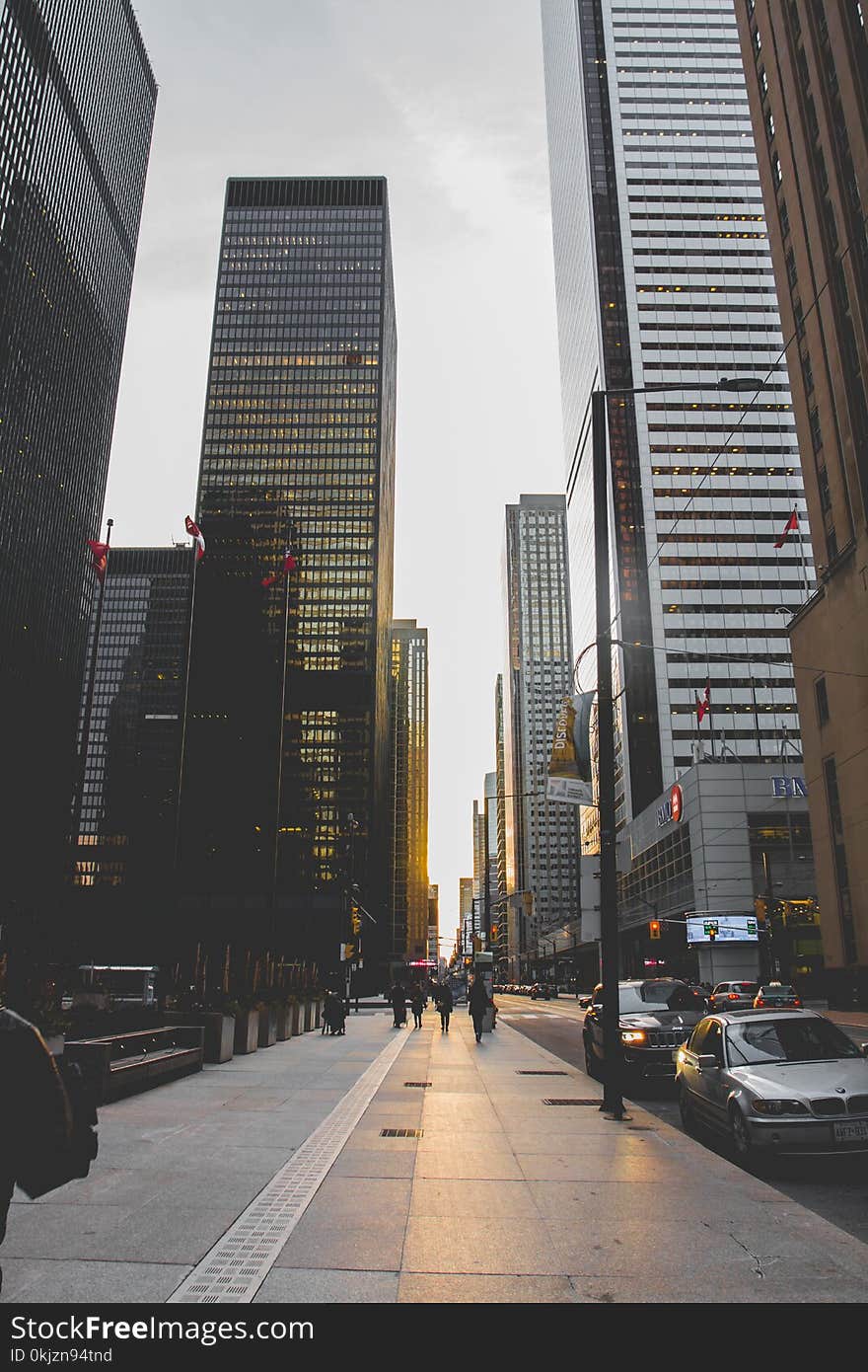 Low-angle Photography of High-rise Buildings