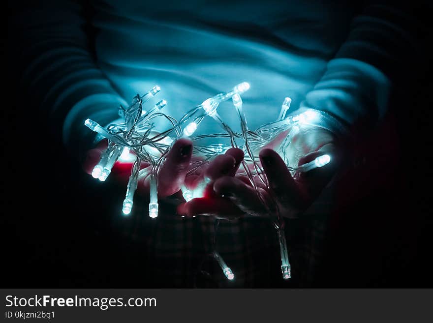 Person Holding White String Lights