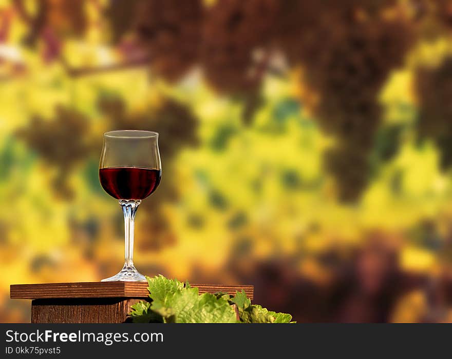 A glass of red wine standing on a wooden table on the vineyard background in a sunny autumn evening. A glass of red wine standing on a wooden table on the vineyard background in a sunny autumn evening