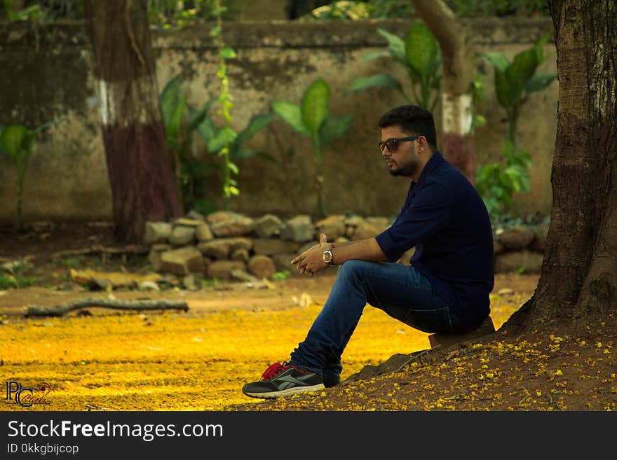 Photography of a Woman Sitting Near Tree