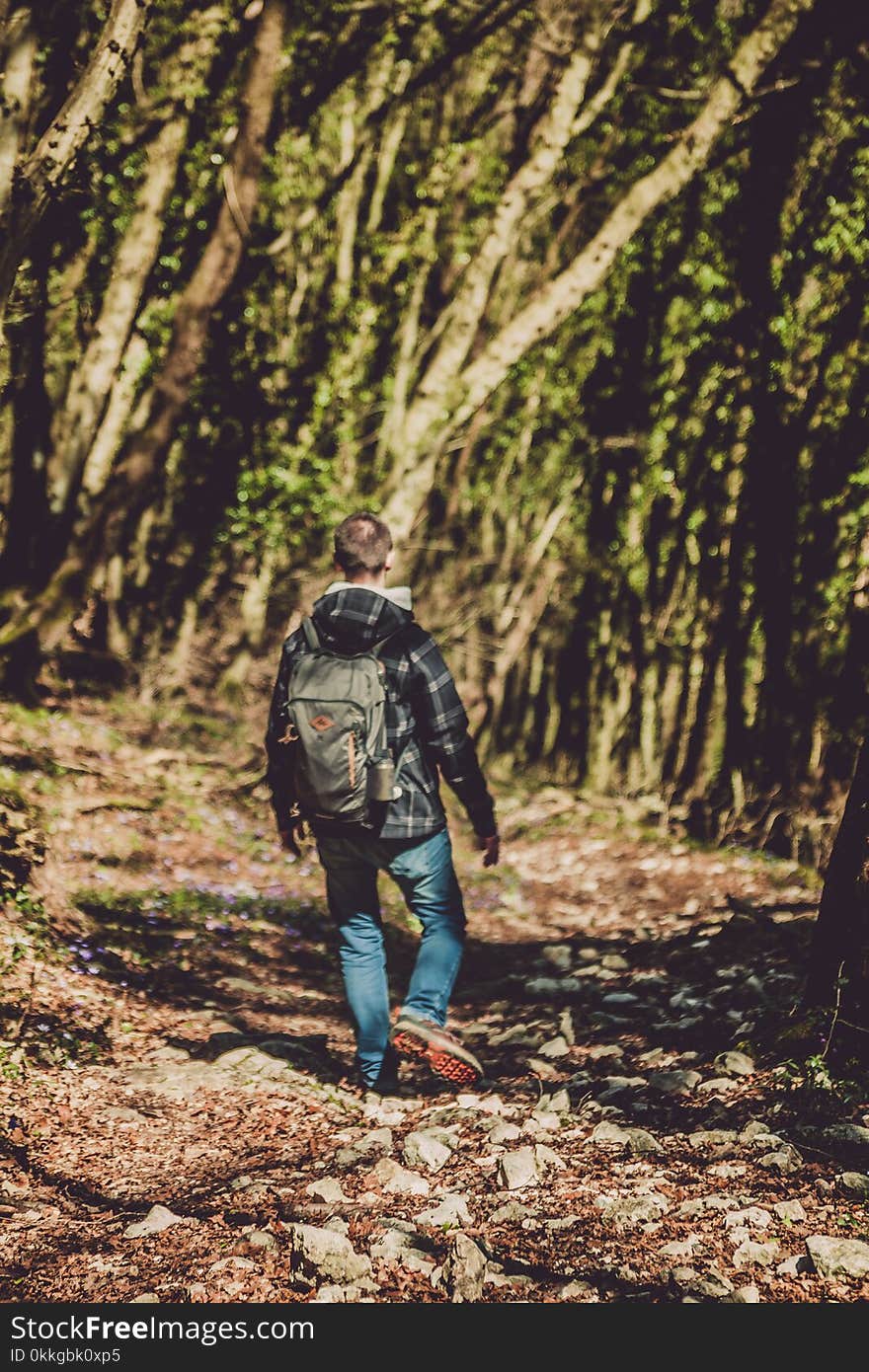 Photo of Man Walking in the Forest