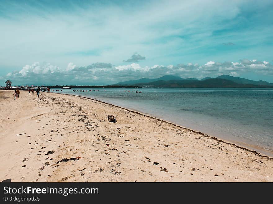 People on Seashore Under Cloudy Sky