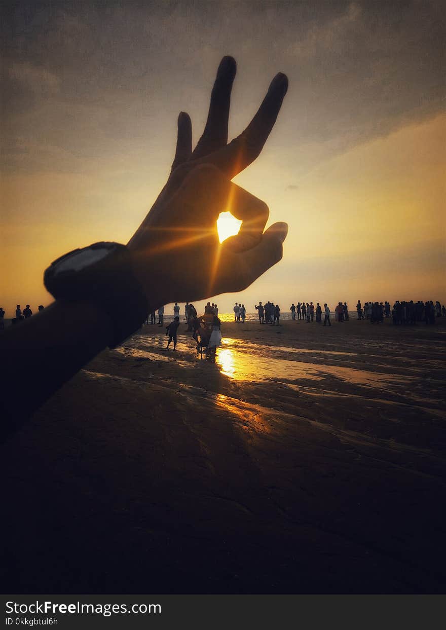 Silhouette Photography of People Near Body of Water