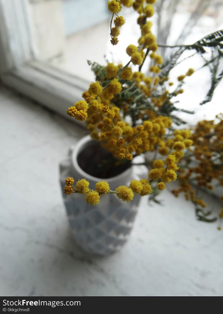 Shallow Focus Photography of Yellow Flowers