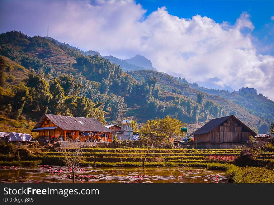 Houses Near Mountains Surrounded by Trees