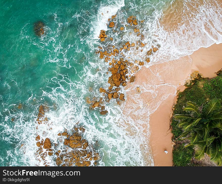 Aerial Photography of Seashore