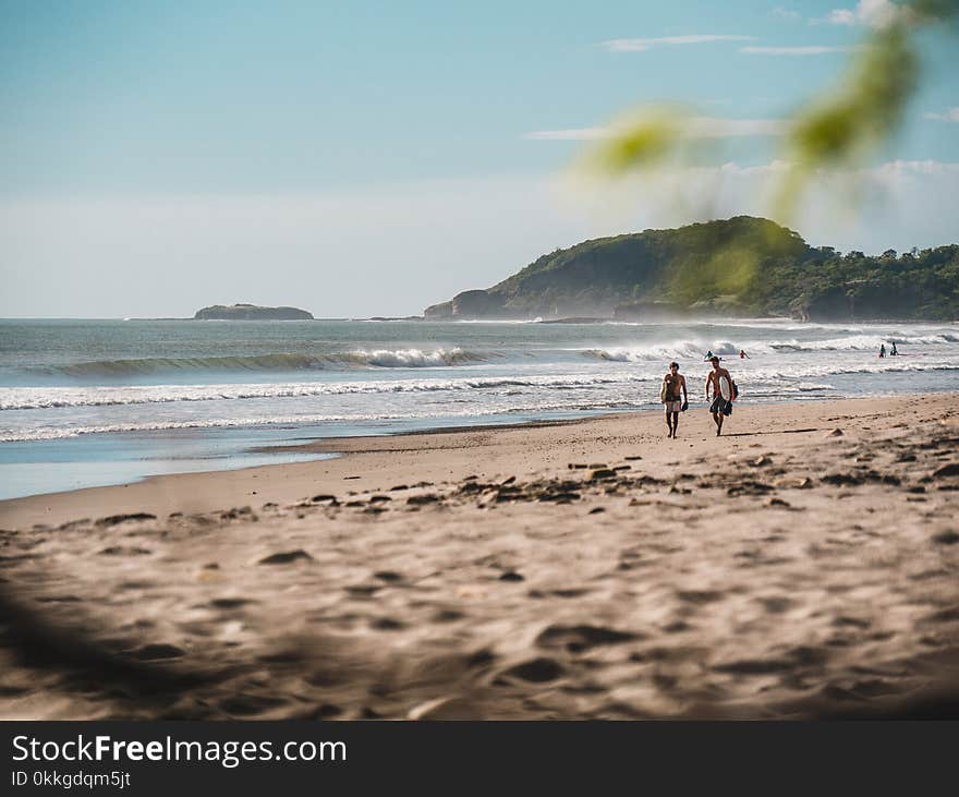 Two Person Walking on Beachside