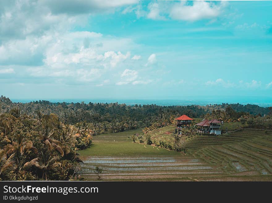 Red Gazebo Surrounded by Trees