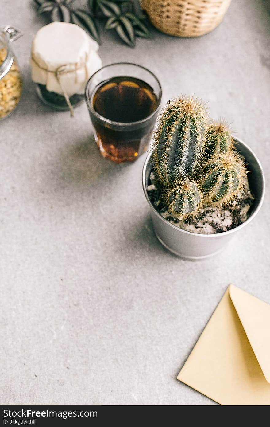 Photo of Green Cactus Plant Beside Clear Drinking Glass