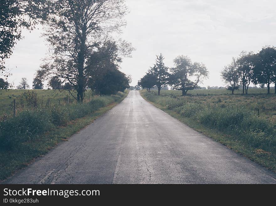 Asphalt Road Beside Trees and Grasses Under White Clouds Daytime