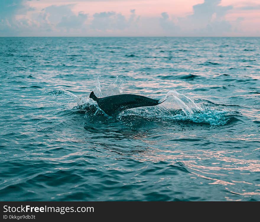 Photography of Body of Water