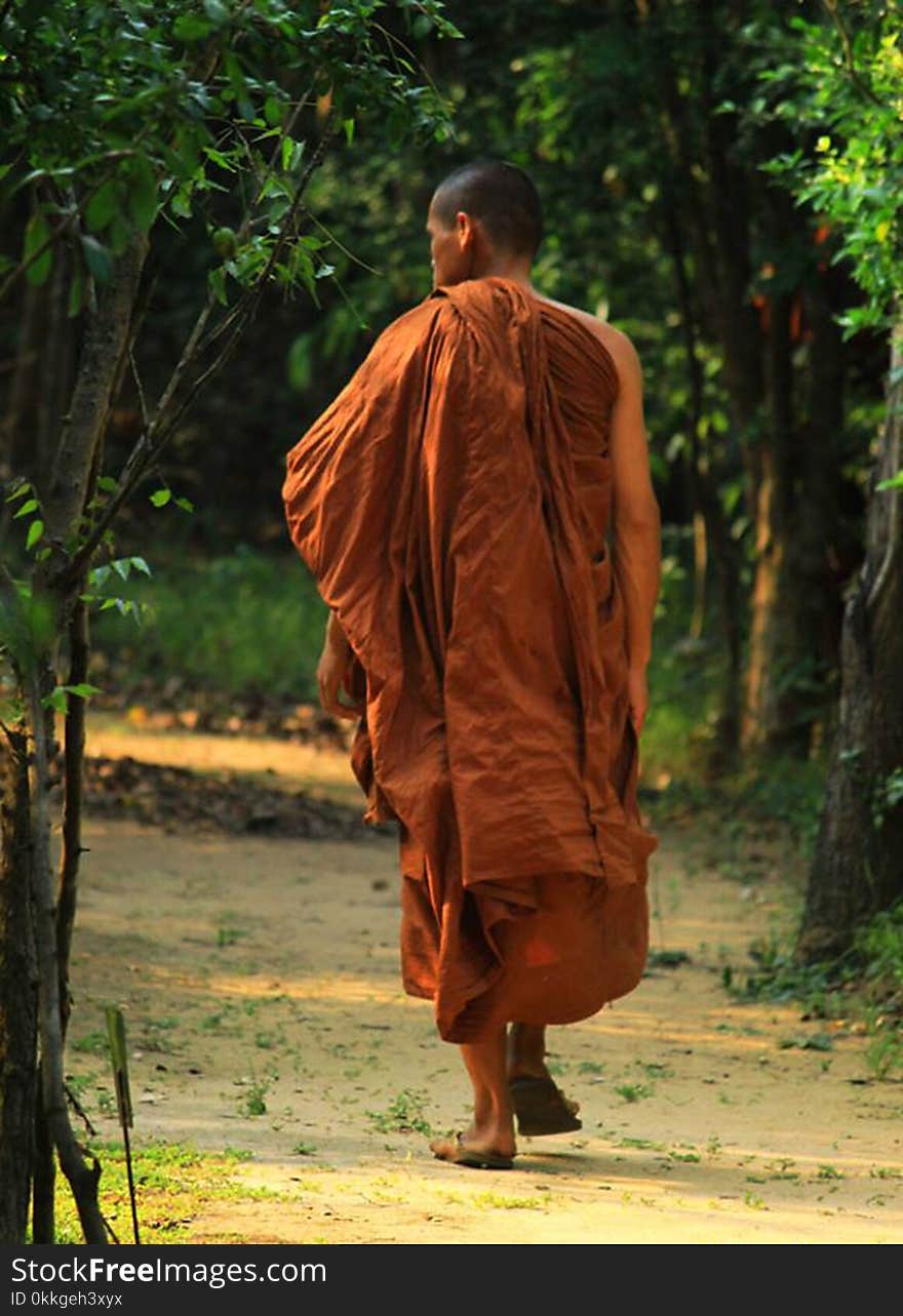 Men&#x27;s Brown Top Near Trees