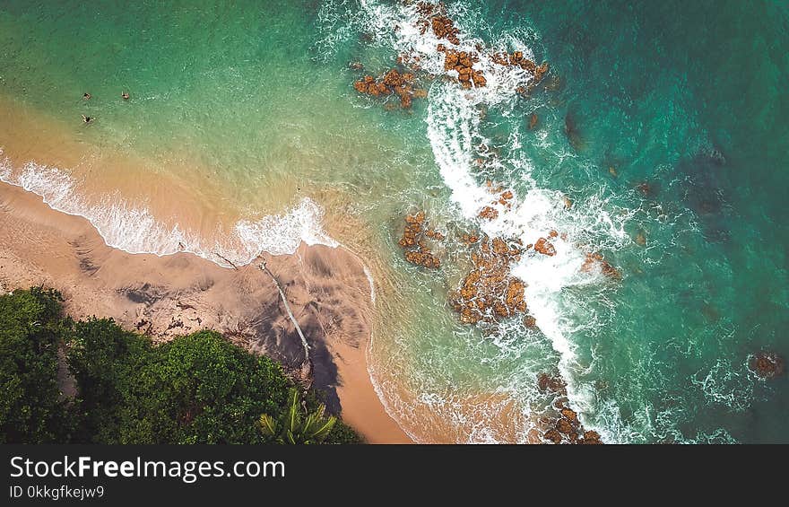 Aerial Photography of Beach