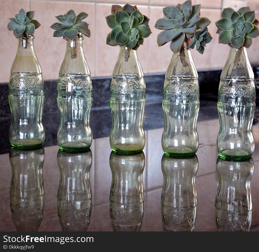 Bottle, Glass, Glass Bottle, Flowerpot