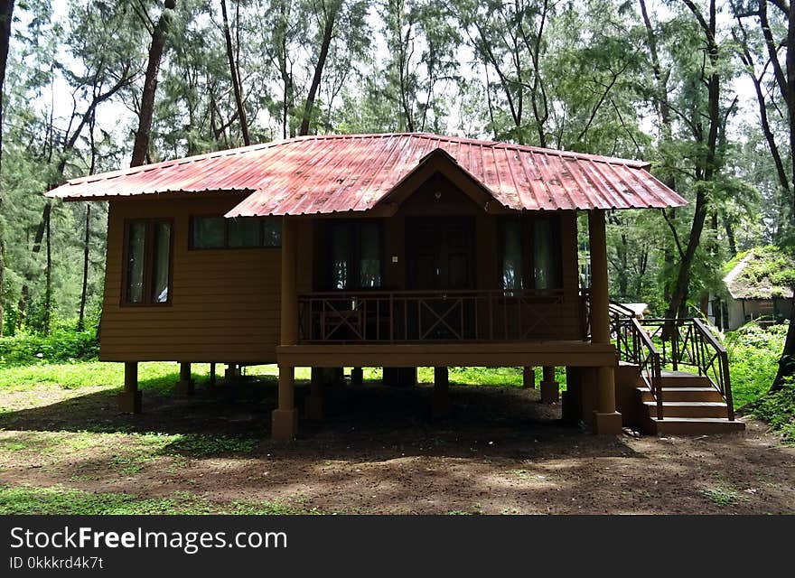 Property, Cottage, Log Cabin, House