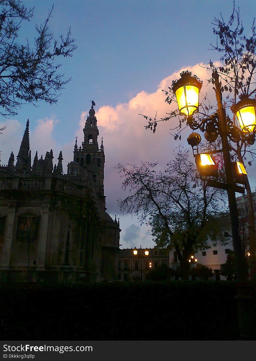 Sky, Landmark, Tree, Town