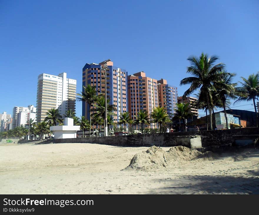 Condominium, Property, Beach, Palm Tree