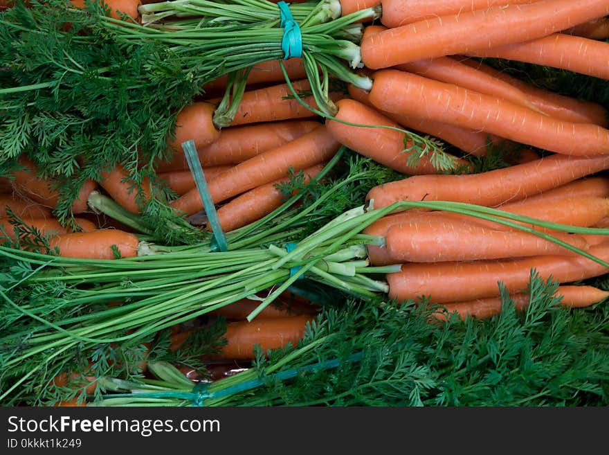 Carrot, Vegetable, Natural Foods, Local Food