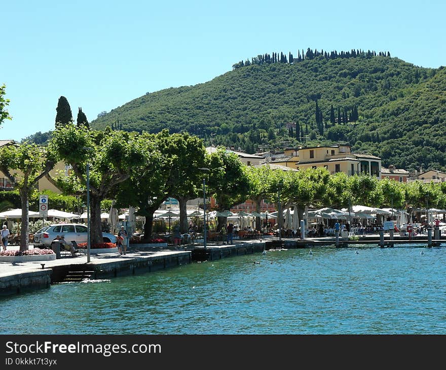 Waterway, Water, Tree, Sea