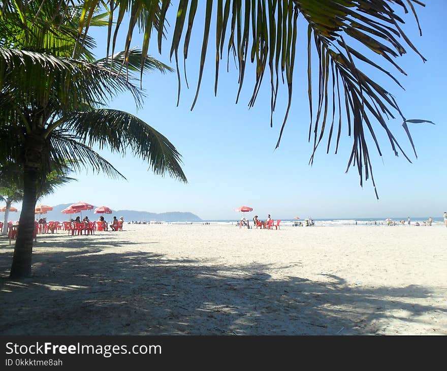 Beach, Body Of Water, Shore, Coastal And Oceanic Landforms