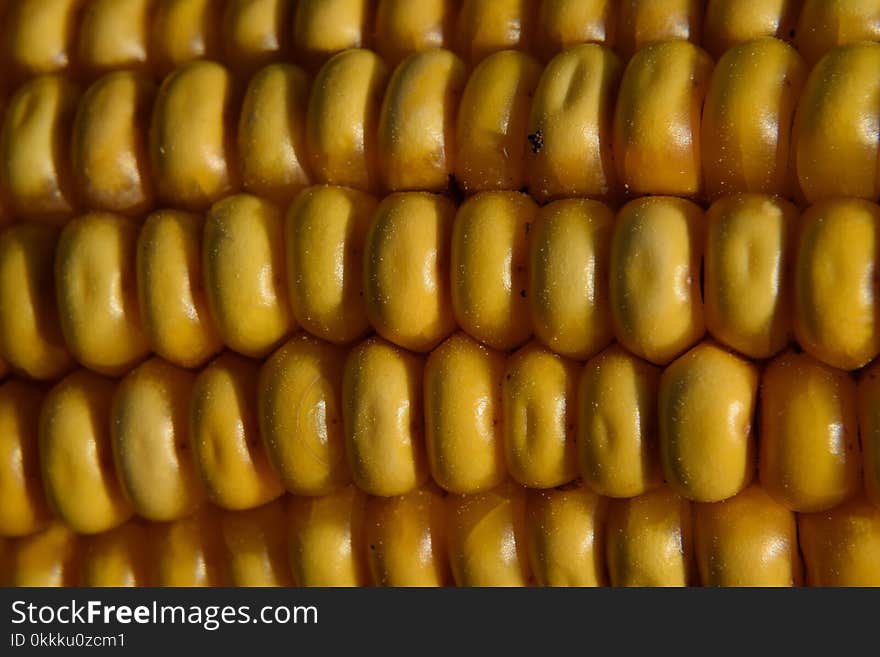 Sweet Corn, Corn Kernels, Maize, Food