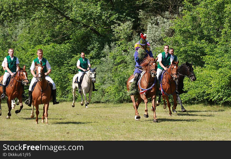 Endurance Riding, Trail Riding, Equestrianism, Horse