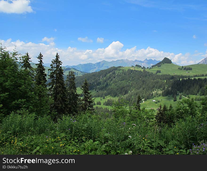 Ecosystem, Wilderness, Vegetation, Grassland