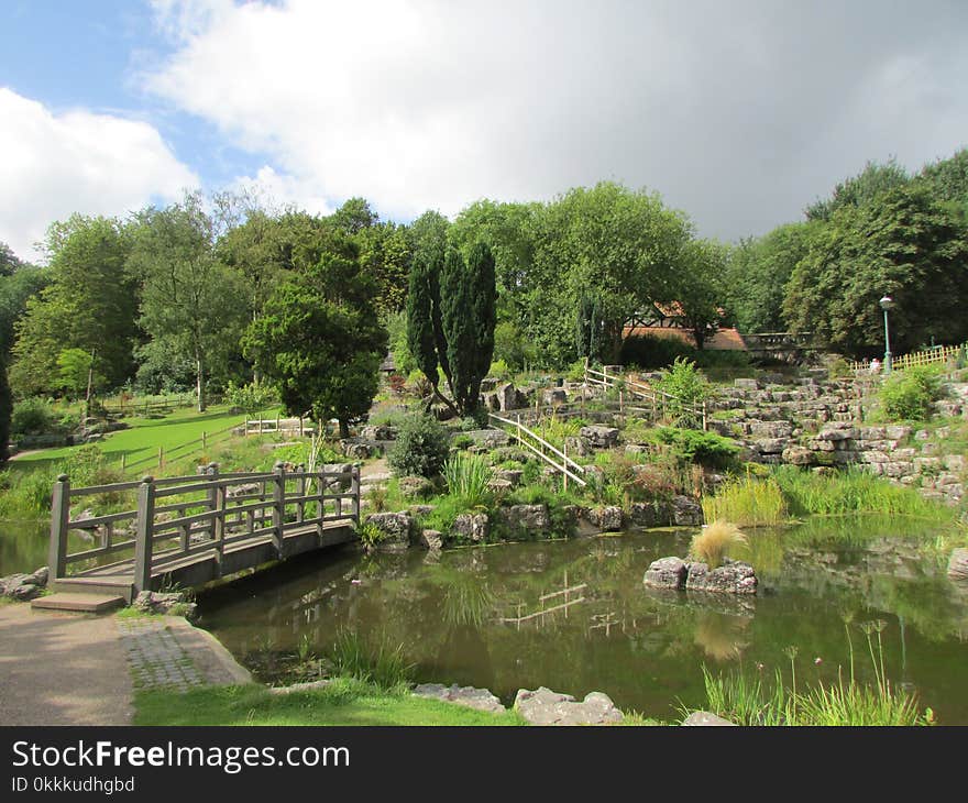 Botanical Garden, Garden, Vegetation, Nature Reserve