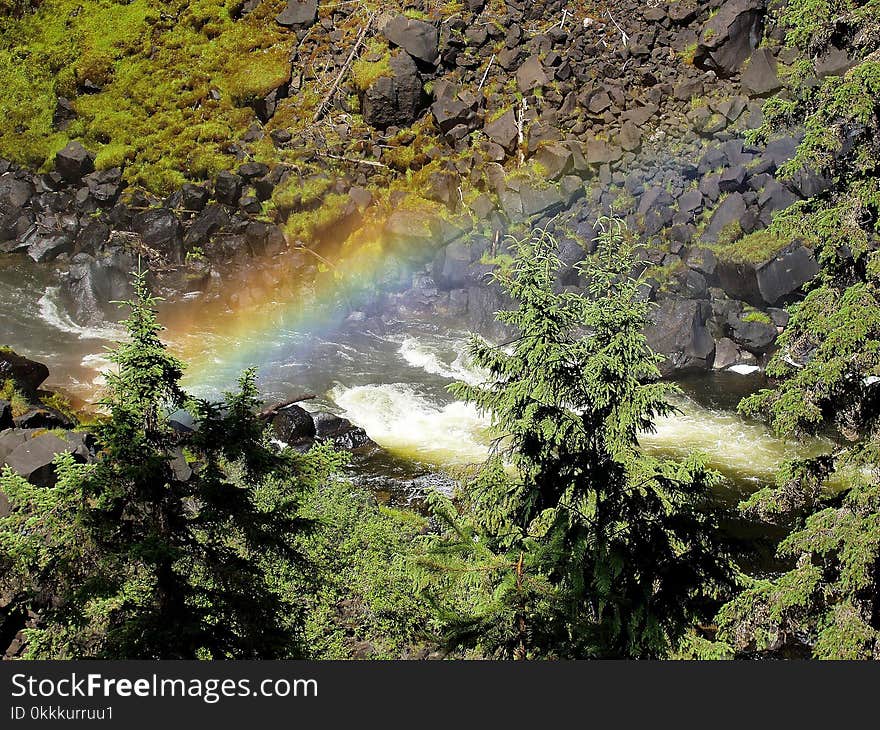 Water, Nature, Body Of Water, Vegetation