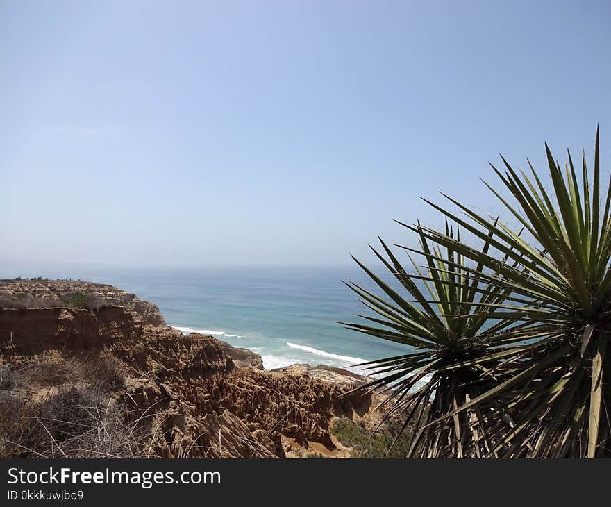 Sea, Coast, Vegetation, Sky