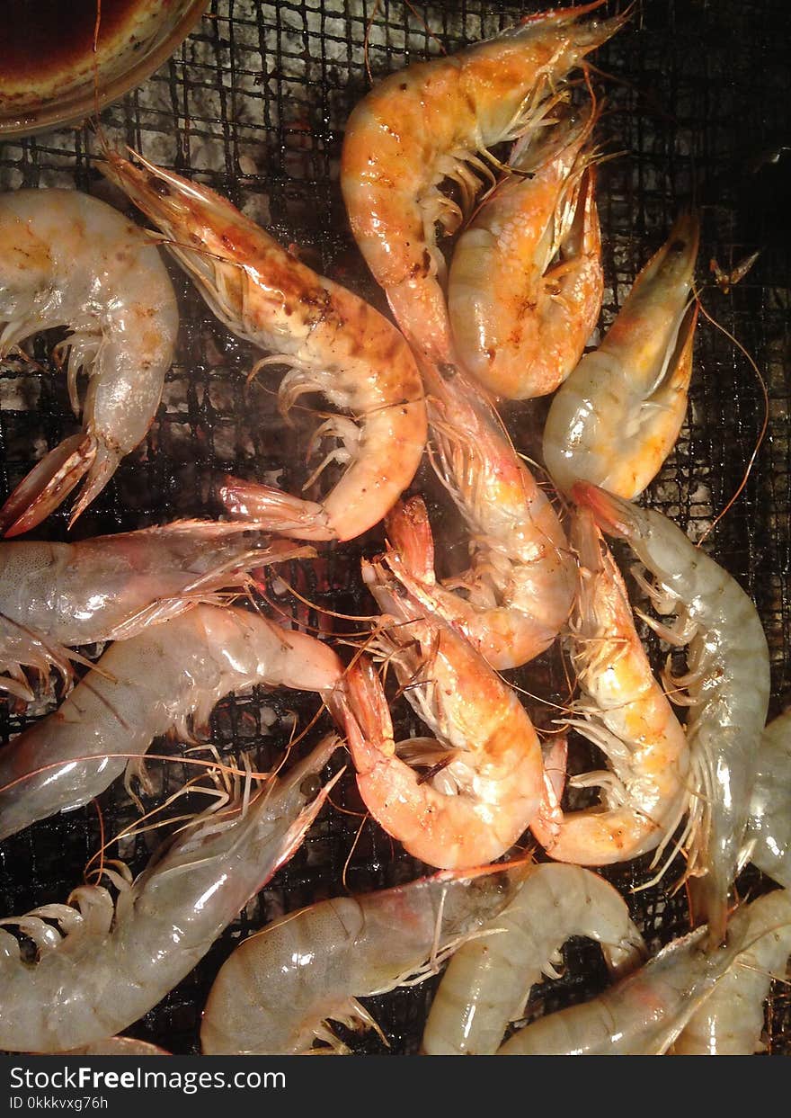 Shrimp, Seafood, Dendrobranchiata, Caridean Shrimp