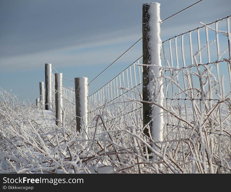 Wire Fencing, Winter, Frost, Snow