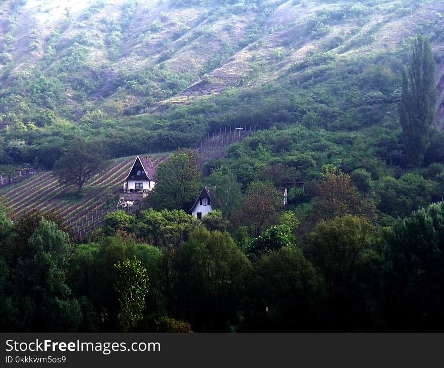 Highland, Vegetation, Mountainous Landforms, Nature