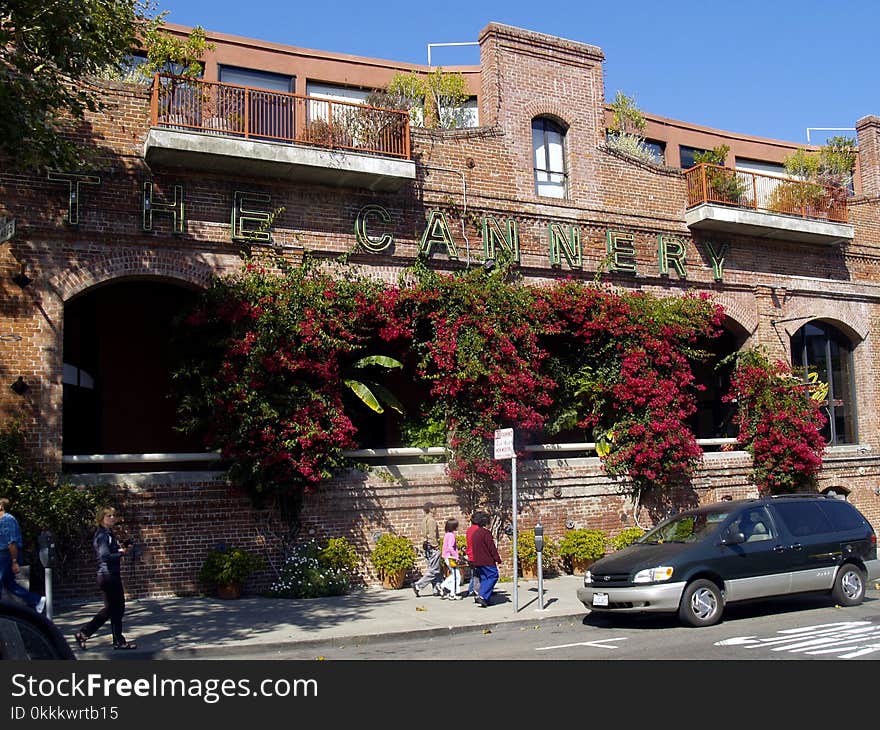 Neighbourhood, Town, Plant, House