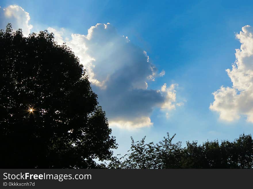 Sky, Cloud, Daytime, Nature