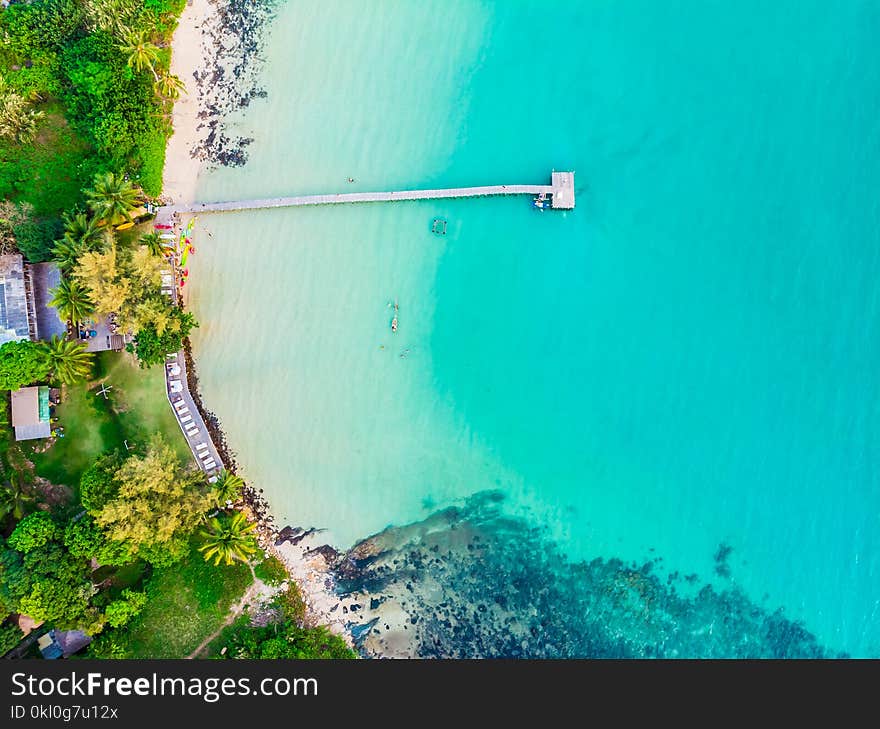 Beautiful Aerial view of beach and sea with coconut palm tree