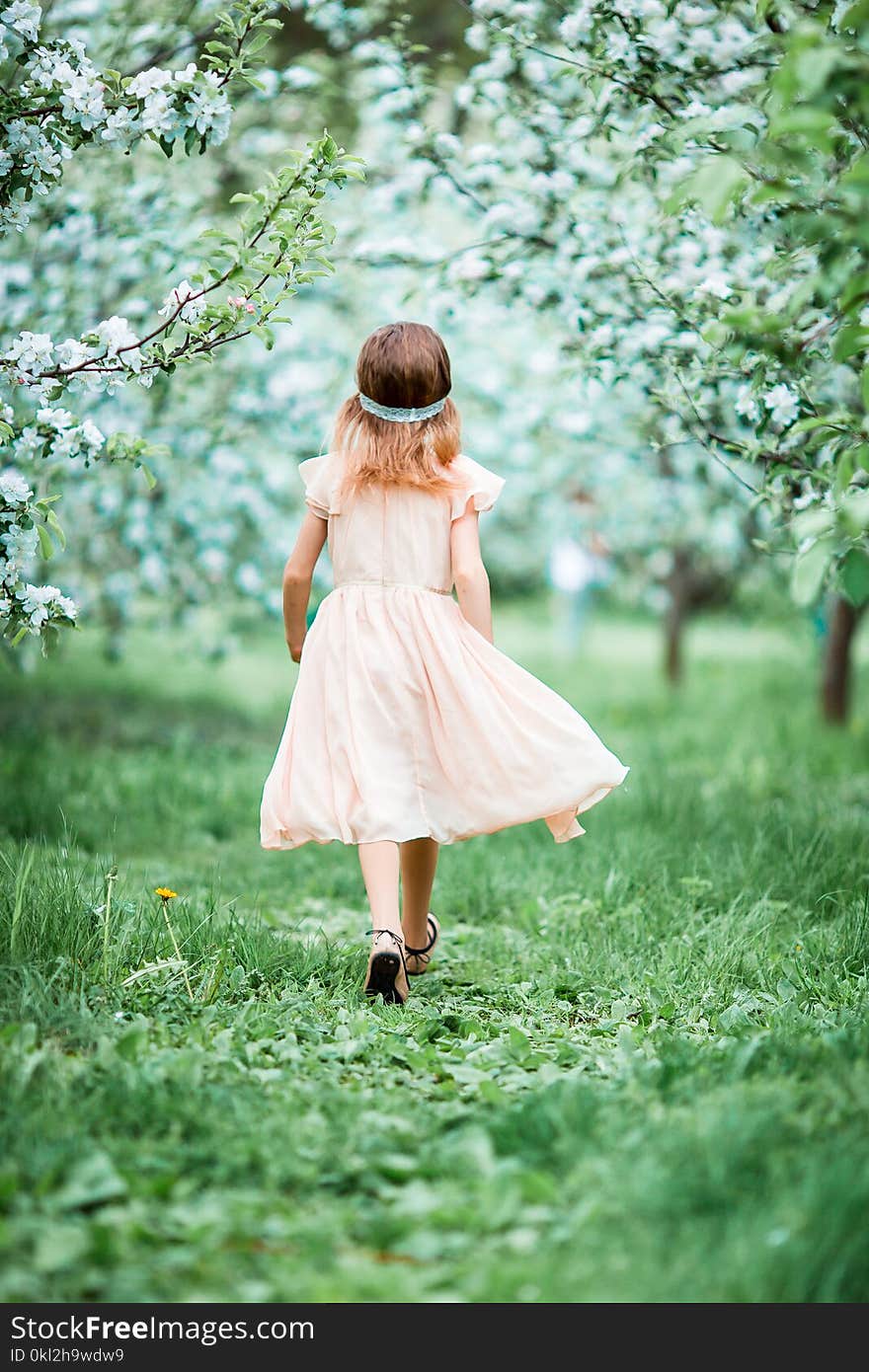 Adorable little girl in blooming apple tree garden on spring day