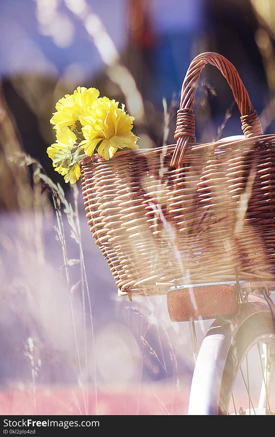 Brown Wicker Basket and Yellow Flowers