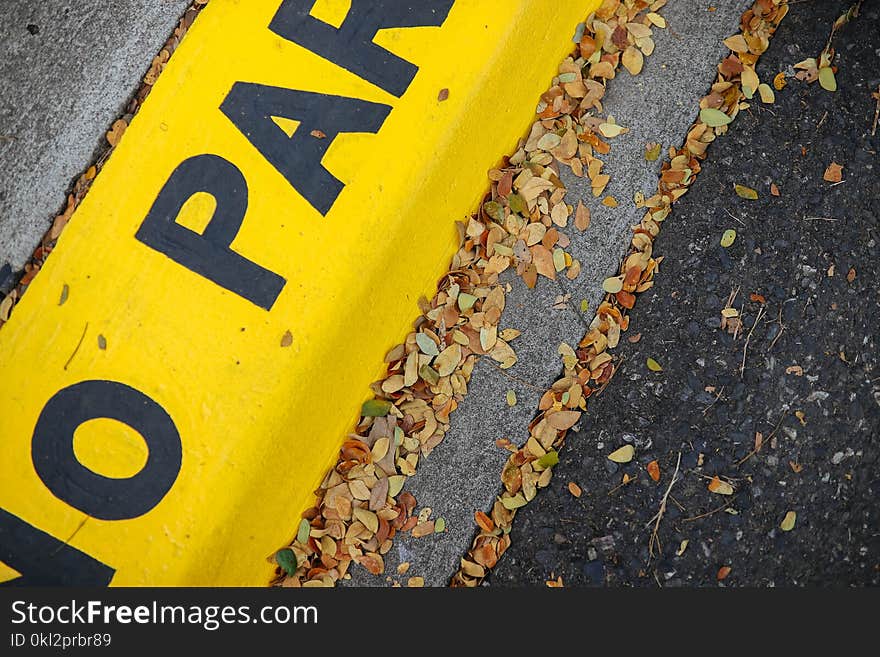 Yellow No Parking Pavement