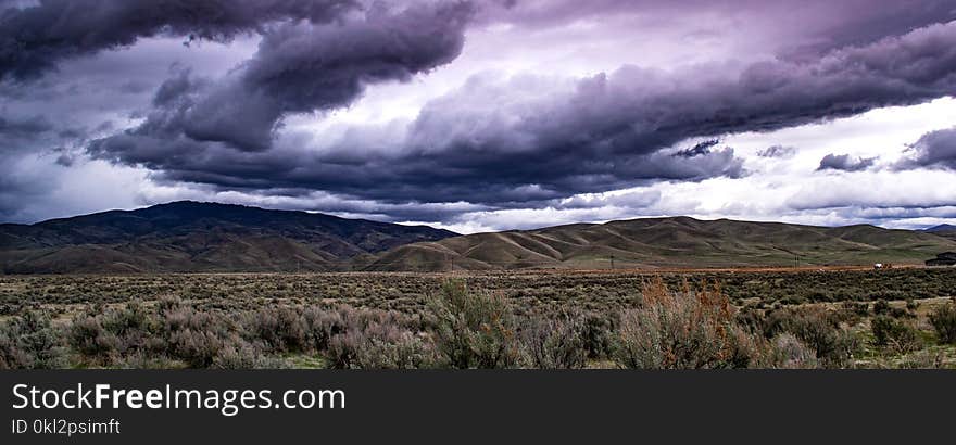 Green Bushes Overlooking Mountain Under White and Grey Cloudy Daytime Sky