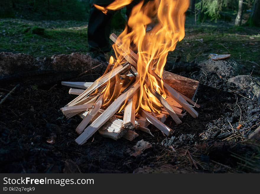 Photo of Burning Woods on Firepit