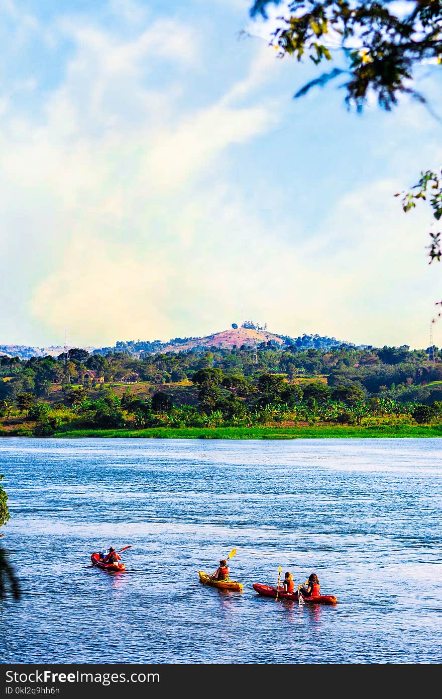 Group of People Rowing on Body of Water