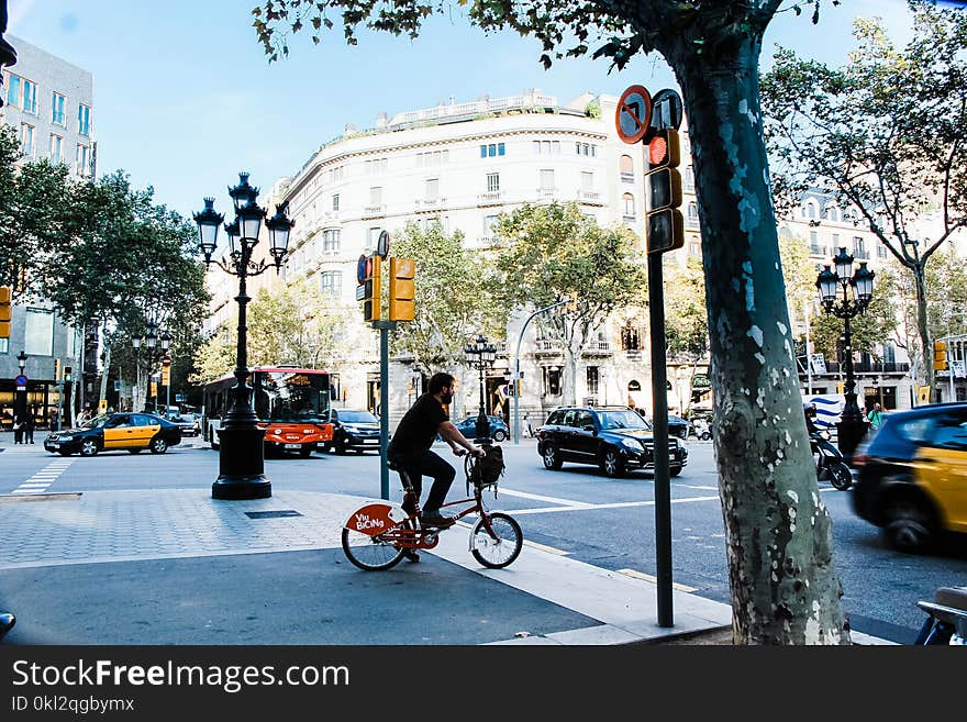 Man Wearing Blue T-shirt Riding Bicycle on Street